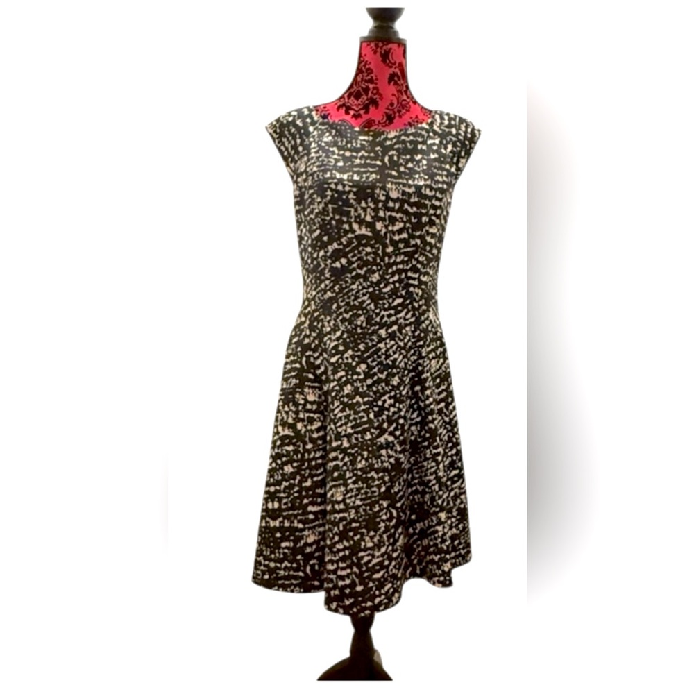 Taylor dress for Women size 10